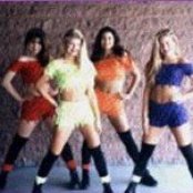 Wild Orchid - List pictures