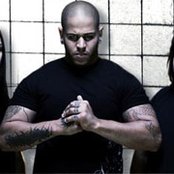 Divine Heresy - List pictures