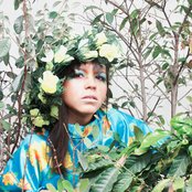 Bomba Estéreo - List pictures