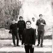 Trees - List pictures