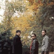 Mercury Rev - List pictures