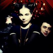 Sugarcubes - List pictures