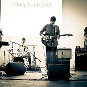 Dog Is Dead - List pictures