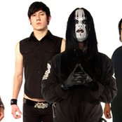 Roadrunner United - List pictures