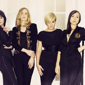 Sahara Hotnights - List pictures