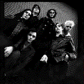 The Brian Jonestown Massacre - List pictures