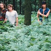 Armia - List pictures