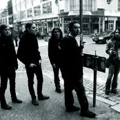 Shamrain - List pictures