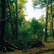 Fyfe Dangerfield - List pictures