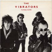 The Vibrators - List pictures