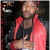 Gorilla Zoe - List pictures
