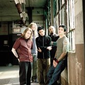 Adena - List pictures