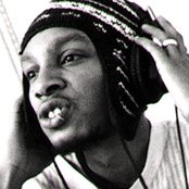 Del The Funky Homosapien - List pictures