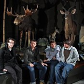 Frightened Rabbit - List pictures