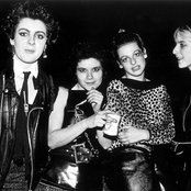 Slits - List pictures