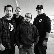 Green Lizard - List pictures