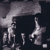 And Also The Trees - List pictures