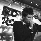 Bamboo - List pictures