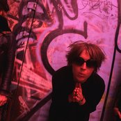 Vines - List pictures