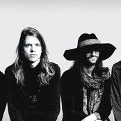 Pauw - List pictures