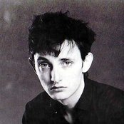 Rowland S. Howard - List pictures