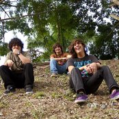 Bioshaft - List pictures