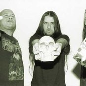Disgorge - List pictures