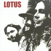 Lotus - List pictures