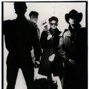 Fatima Mansions - List pictures