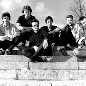 Foje - List pictures