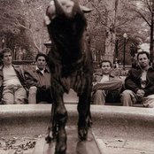 Familiar 48 - List pictures