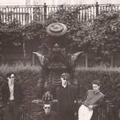 Mccarthy - List pictures