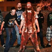 Laika - List pictures