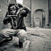 Damu The Fudgemunk - List pictures