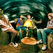 Reptar - List pictures