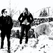 The Limiñanas - List pictures