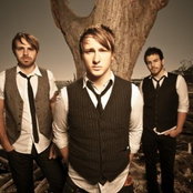 Between The Trees - List pictures