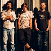 Beak> - List pictures