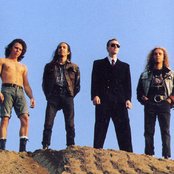 Omnitron - List pictures