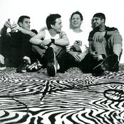 Pezz - List pictures