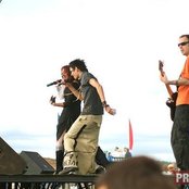 Vena - List pictures