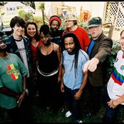 Easy Star All-stars - List pictures