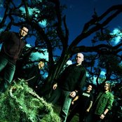 Dark New Day - List pictures