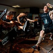 50 Lions - List pictures