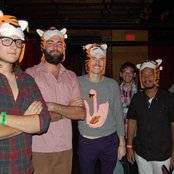 Miniature Tigers - List pictures