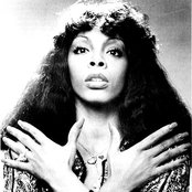 Summer Donna - List pictures