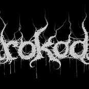 Krokodil - List pictures