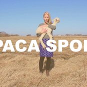 Alpaca Sports - List pictures