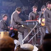 The Animals - List pictures