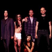 A Perfect Circle - List pictures